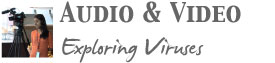 Audio Video